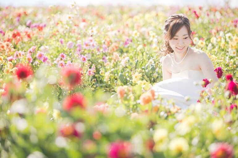 色とりどりのお花での撮影の画像
