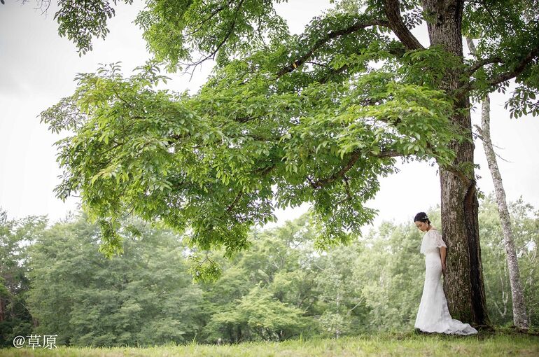 軽井沢の草原で撮影する新婦
