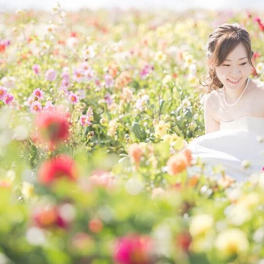 富良野　ウェディングフォト