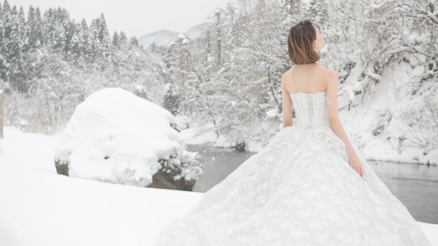 雪 (4) v