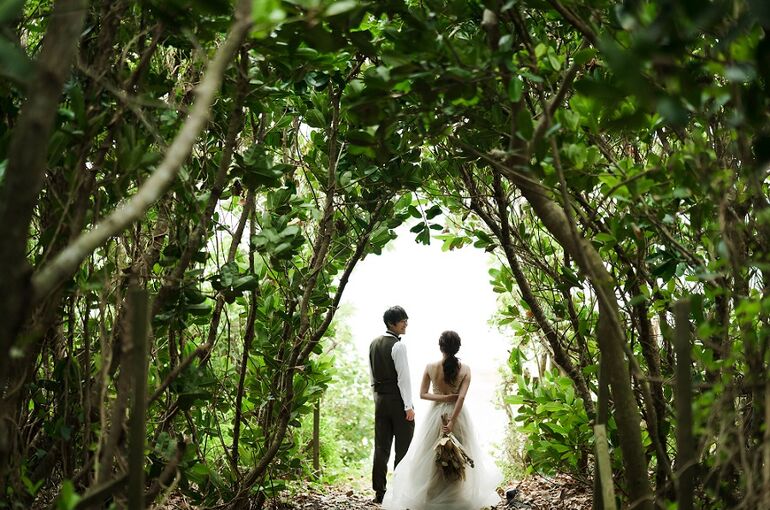 島の木々の間の光に照らされる新郎新婦様
