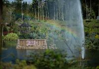 東南植物楽園2