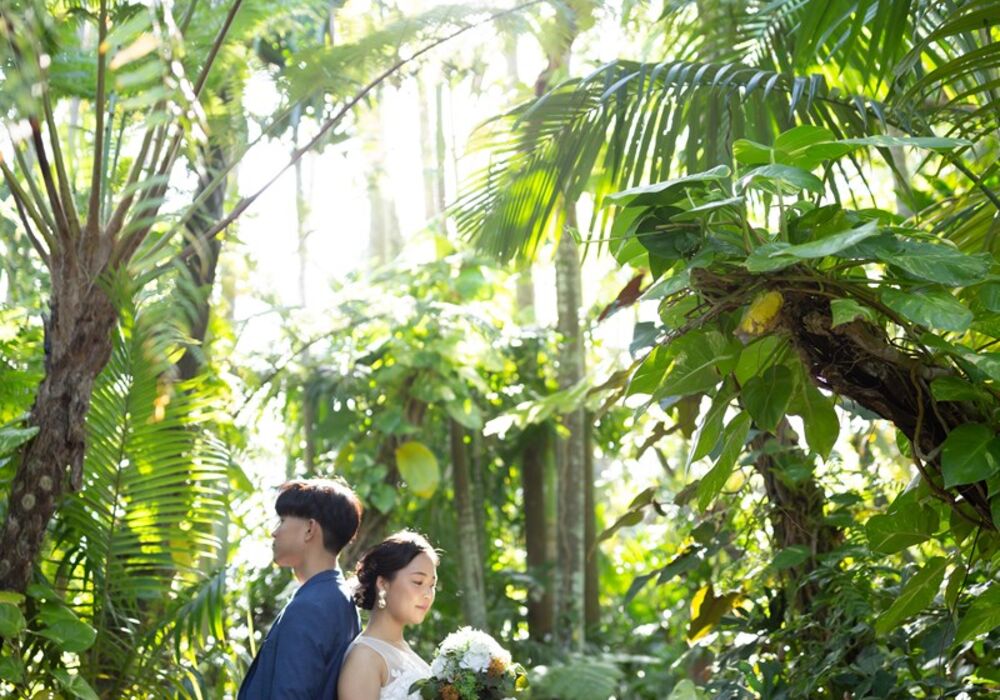 東南植物楽園20