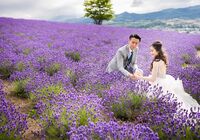 富良野　フォトウェディング