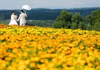 富良野　フォトウェディング
