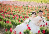 富良野　フォトウェディング