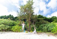 石垣島　フォトウェディング