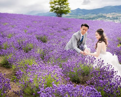 富良野　ウェディングフォト　前撮り