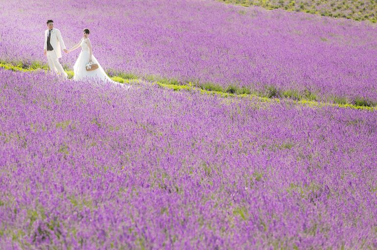 富良野　ウェディングフォト　写真