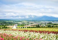 富良野　ウェディングフォト