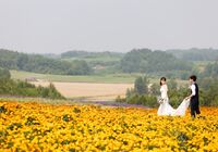 富良野　前撮り