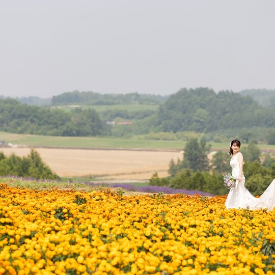 富良野　前撮り