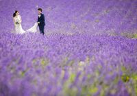 富良野　ウェディングフォト