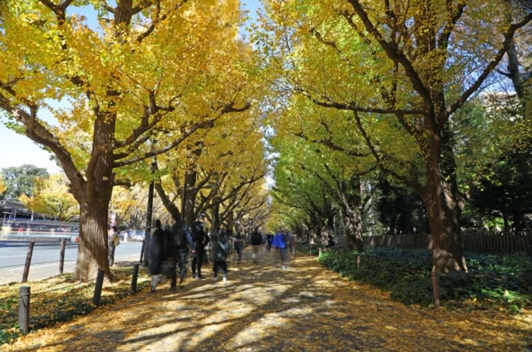 明治神宮外苑　フォトウェディング　安い