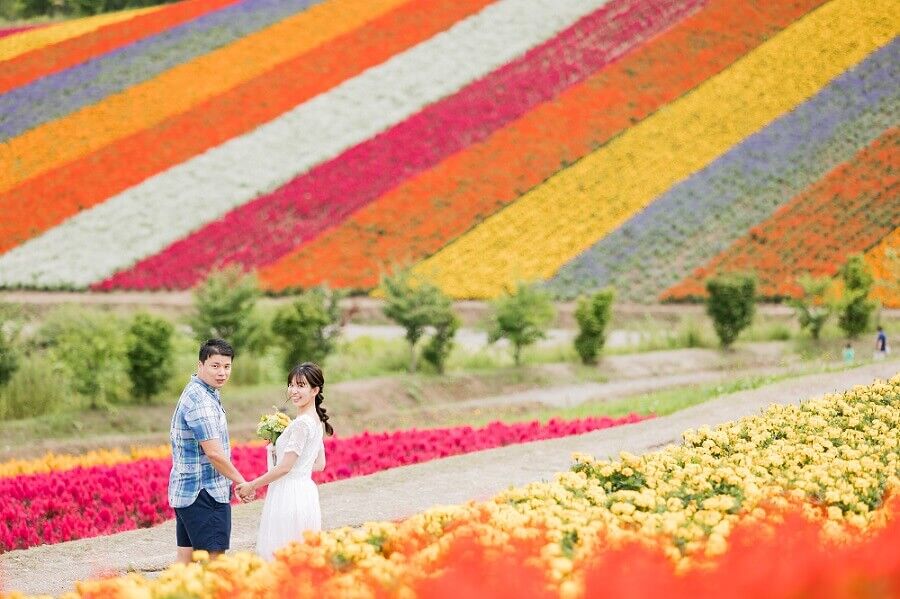 美瑛　四季彩の丘　結婚写真