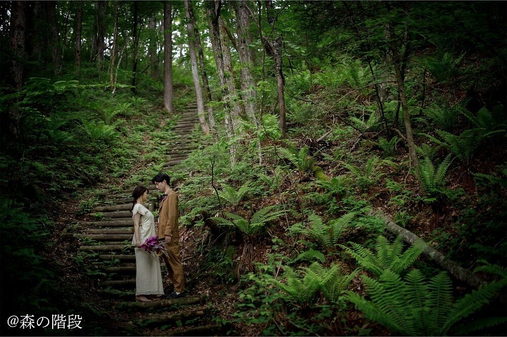 森の階段　フォトウェディング