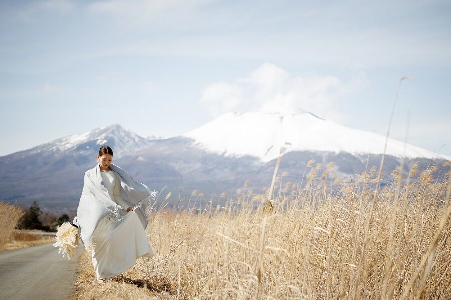 山の見えるススキ野原　フォトウェディング