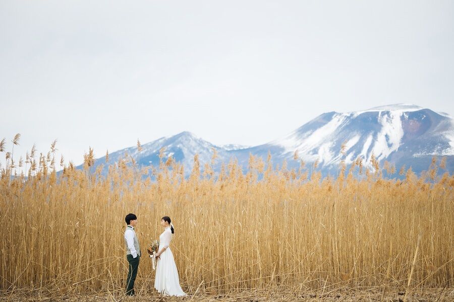 山の見えるススキ野原　ロケーションフォト